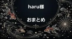 haru様　おまとめ