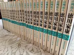 徳川家康 全18巻セット 山岡荘八 講談社 文学小説 - メルカリ