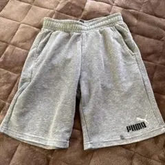 PUMA半ズボン150 カラーグレー