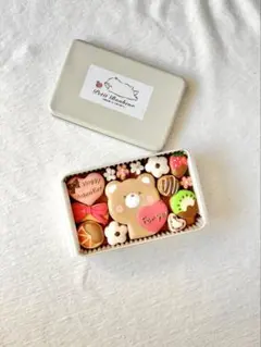 ⭐︎mii様専用　2/25までに出来次第発送