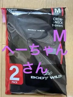 最安値⭐️BODYWILD⭐️グンゼ⭐️ボディワイルド⭐️クルーネックtシャツ⭐️M✖︎2枚のサムネイル
