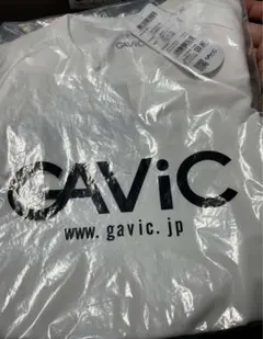 Item thumbnail for item c10359a2-2c73-4771-ac2c-1a697b5e0777