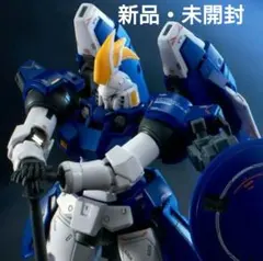 2026年最新】rg トールギスiiの人気アイテム - メルカリ