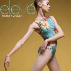 Item thumbnail for item 540f1802-cdb5-4302-bdc9-c4e81b0737d8