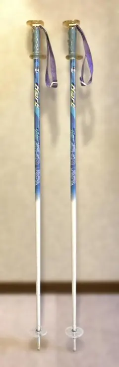 kizaki プロシードTLカーボン KPAI-9001 85-105cm 伸縮 2025年最新】スキー ポール 105の人気アイテム - メルカリ kizaki