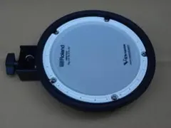 Item thumbnail for item bf4a9c05-b2d2-4e07-be7d-d619341162f2