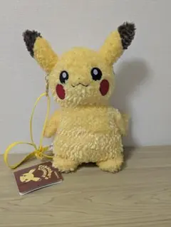 美品 Pikachu’s Closet オスメス2体セット ポケモンセンター限定 ぬいぐるみピカチュウ Pikachu's Closet オスメス 2点セット