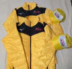 Item thumbnail for item 21ea3c6c-25b4-4f25-800c-1bf7ba0d0284