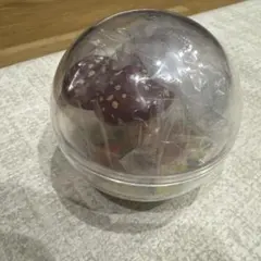きのこ ミニチュア フィギュア ガチャ
