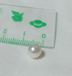 E.あこや真珠ルース1個●片穴●シルバー
