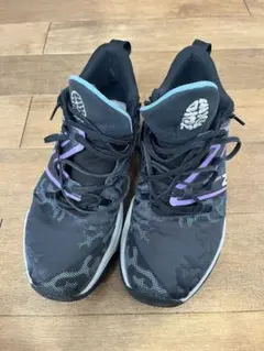 Item thumbnail for item a9cfd9bc-e66d-45f8-ad8f-ec02e9154012