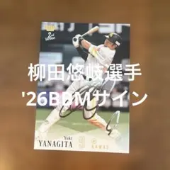 SB 柳田 悠岐 直筆サイン色紙 - メルカリ