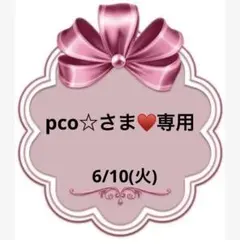 pco☆さま♥️専用