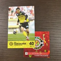 柏レイソル ルヴァン カード 原川力