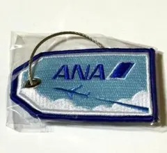 ANA 能登空港　　のと里山空港　限定フライトタグ　飛行機　全日空　のとのサムネイル