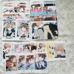 ハレルヤベイビー ネットプリント ネップリ 桜咲冬夏 呉都 仔縞楽々 28枚