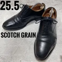 SCOTCH GRAIN ブラック　外羽根　ビジネスシューズ　25.5cmのサムネイル