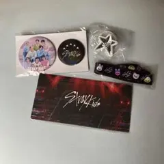 スキズ straykids ドームツアー 2023 アプグレ特典