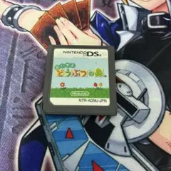 おいでよ どうぶつの森