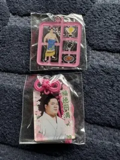 宇良☆プラモデル風＆御守り風アクリルキーホルダー２個セット