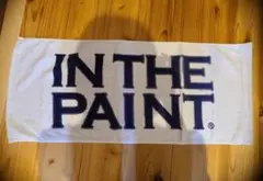 IN THE PAINT タオル(アイスグレー)34×84cm