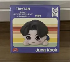BTS Tinytan モアプラス 寝そべりミニフィギュア グク