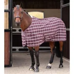 Shires Tempest Original Stable Sheet 馬着