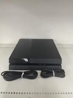 SONY PS4 プレステ4 CUH-1000A 本体のみ