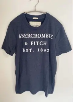 Abercrombie & Fitch Tシャツ L ネイビー