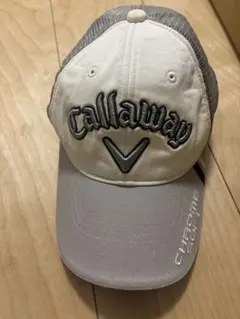 Item thumbnail for item 5dfec752-99ee-41cb-b33e-9be890034d6a