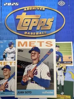 【単品購入不可】Juan Soto （ファンソト選手）