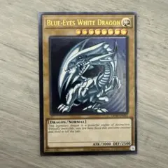 遊戯王 青眼の白龍 OTS28 レリーフ 北米版 OP28-EN001 - メルカリ