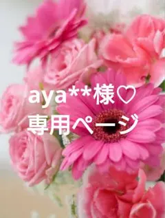 aya**様♡専用ページ.。.:*♡✿ฺ