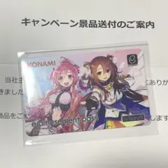 【限定】SDVX x ポラリスコード連動 e-amusement pass