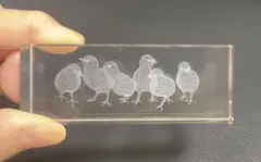クリスタルガラス　置物　鳥　文鎮　工芸品　干支置物のサムネイル