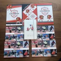 トヨタ ガズースポーツ パリ オリンピック フリージュ レッドクルーザーズ