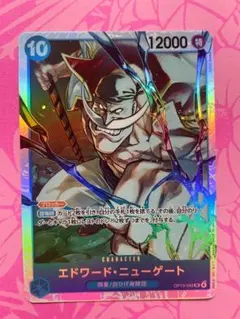 2025年最新】エドワードニューゲート srの人気アイテム - メルカリ