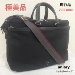 【現行モデル★極美品】アニアリ aniary ショルダーバッグ ブラック 黒のサムネイル