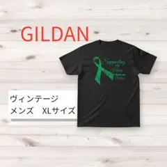 GILDAN Tシャツ ヴィンテージ ネイティブ・アメリカン アメカジ メンズ