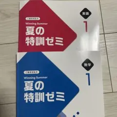 Item thumbnail for item 07b2a57d-261e-4693-8bcf-501edbdd820a