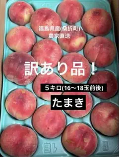 【本日発送！】福島県産 桃 訳あり品５キロ(16〜18玉前後)のサムネイル