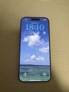 Apple iPhone 14 Pro シルバー 本体