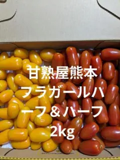 ミニトマト　フラガールハーフ＆ハーフ　2キロ