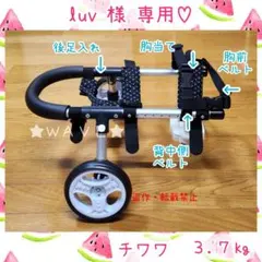 luv様専用 犬用車椅子 犬の歩行器 犬の車いす リハビリ用2輪車 歩行
