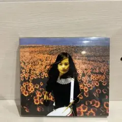 Mr.Children/BOLERO