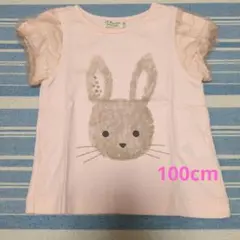 Item thumbnail for item 7b49c5a0-d3d2-4d8f-89a0-76c6b6302399