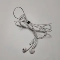 【純正】Apple EarPods with Lightning Connect