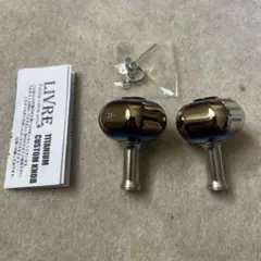 Item thumbnail for item 43687cbb-2aa9-4078-b6f9-8d4128e6bffc