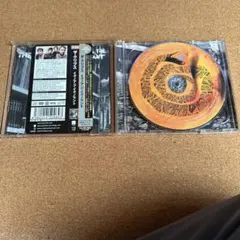 ザ・クリブス　イグノア・ジ・イグノラント