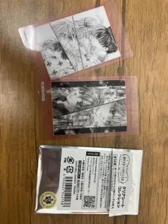 種村有菜30周年記念展 クリアシートコレクション